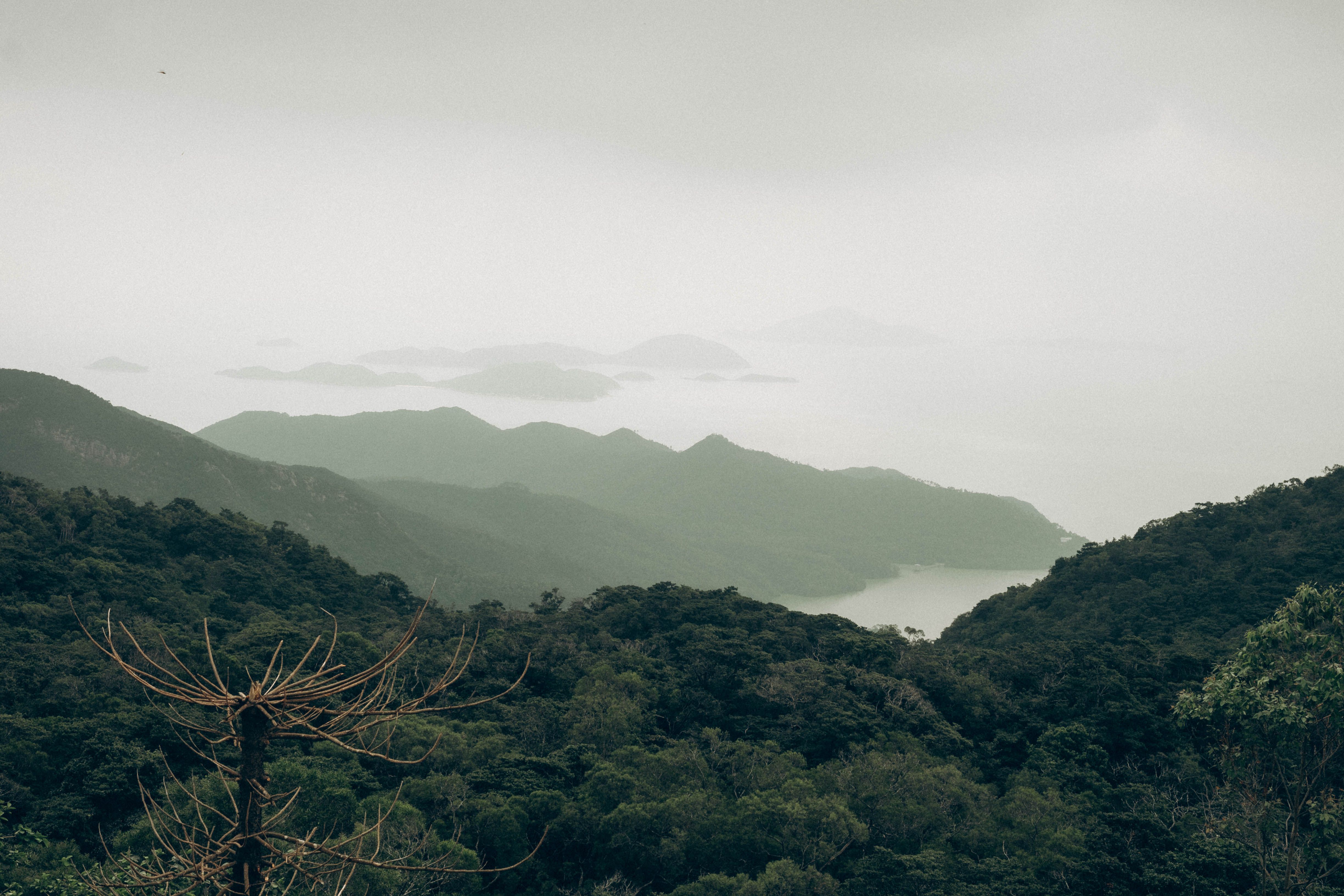 Hong Kong in June: What to Expect