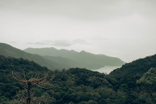 Foto profissional grátis de árvores, colinas, ecológico