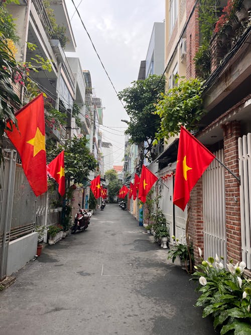 シティ, ベトナム, 住宅地の無料の写真素材