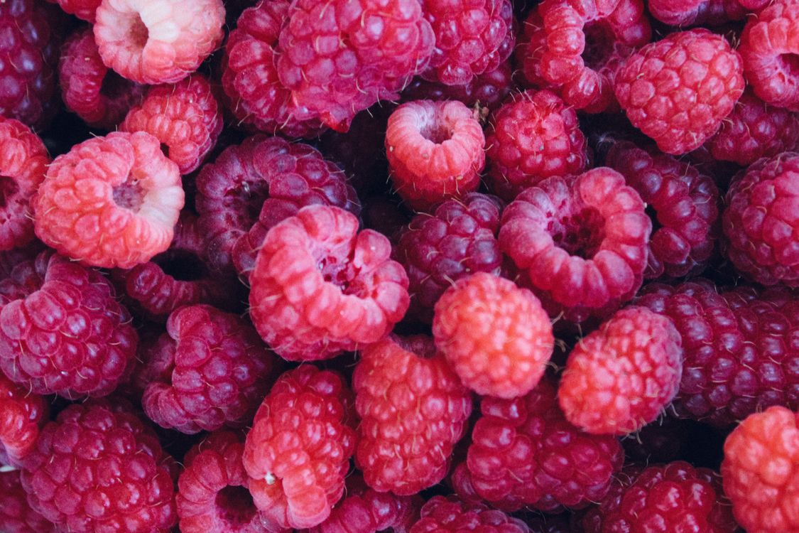 Close up of Red Raspberries · Free Stock Photo
