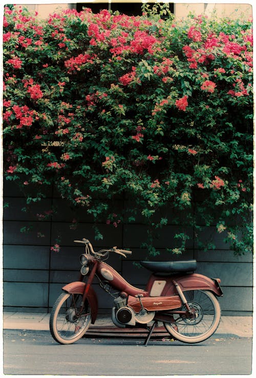 A motorcycle parked in front of a wall of flowers