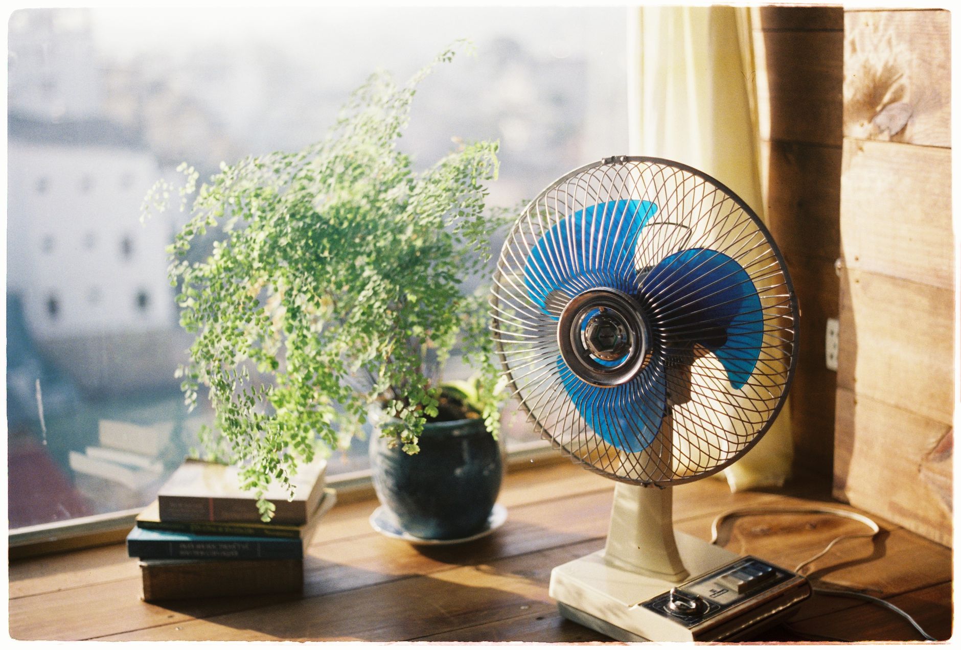 A sunlit room with a vintage fan, plant, and books on a wooden table.