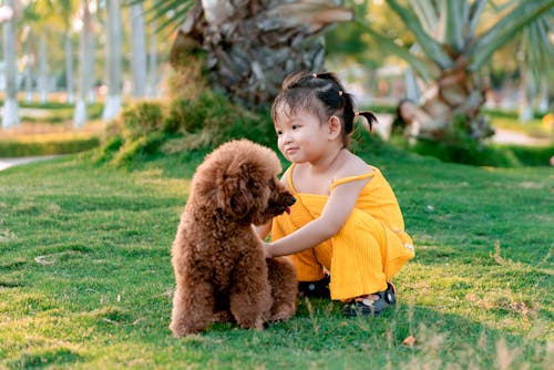 Foto profissional grátis de animal de estimação, cachorro, criança