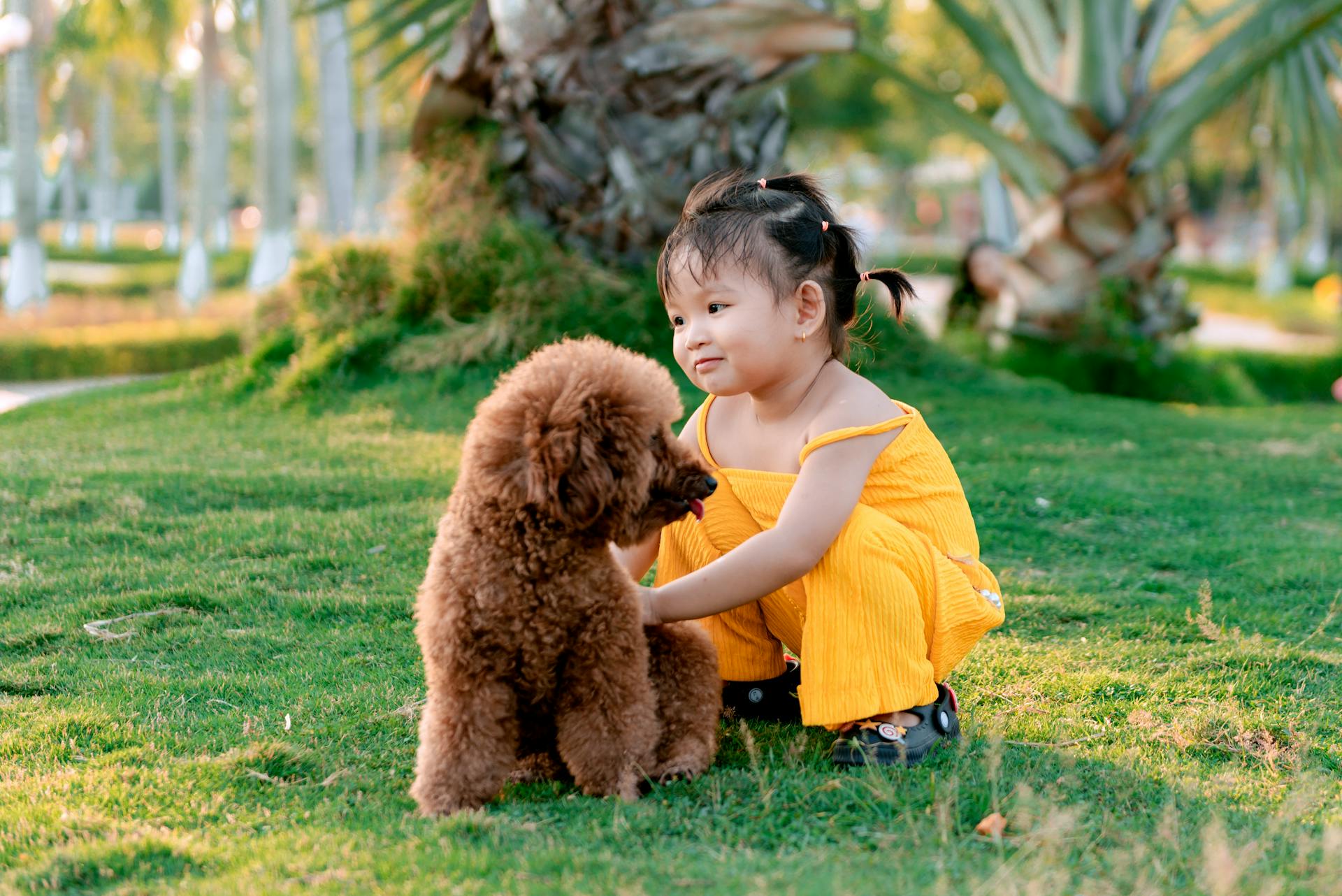 La fille avec le caniche