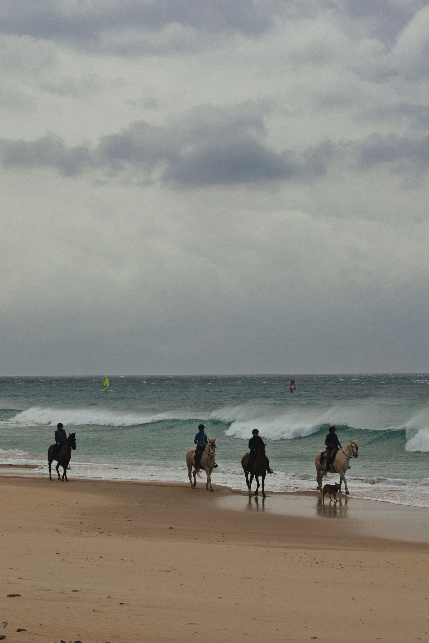 Horseback Riding experience image 3
