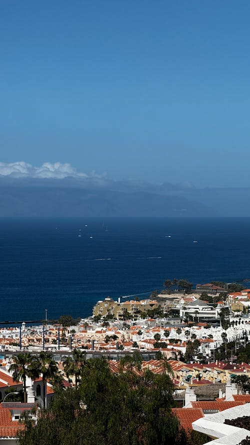 A view of the ocean and town from a hill