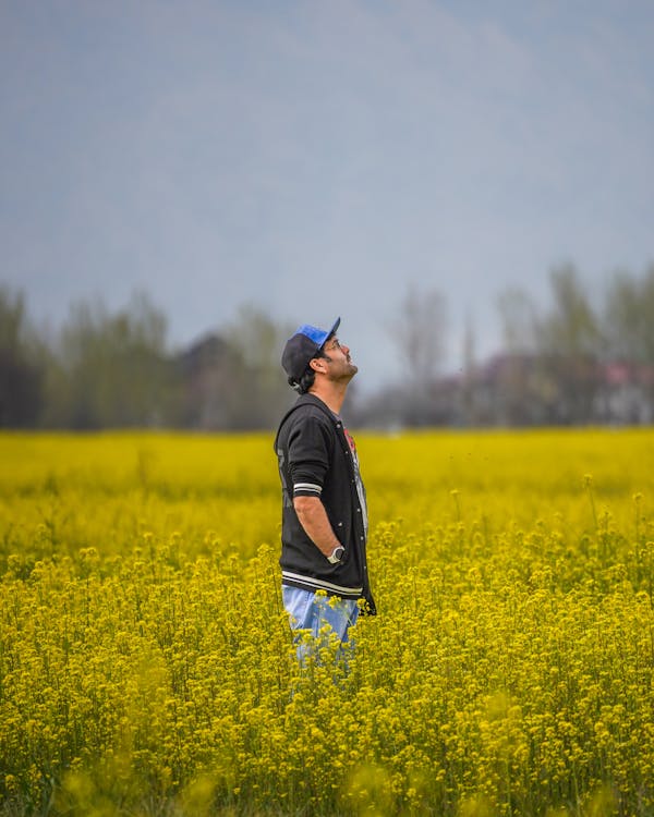 Gratis lagerfoto af bane, barn, blomst