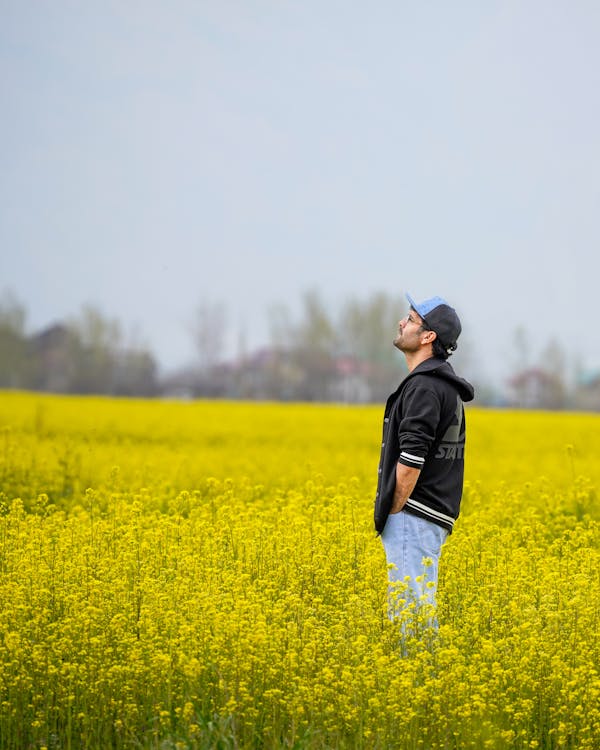 Gratis lagerfoto af bane, blomst, fritid