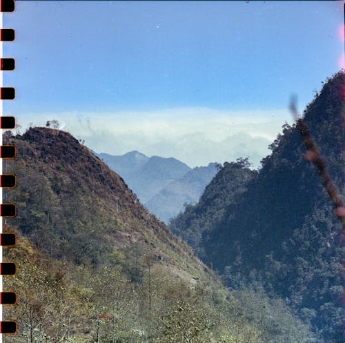 Foto profissional grátis de árvores, colinas, ecológico