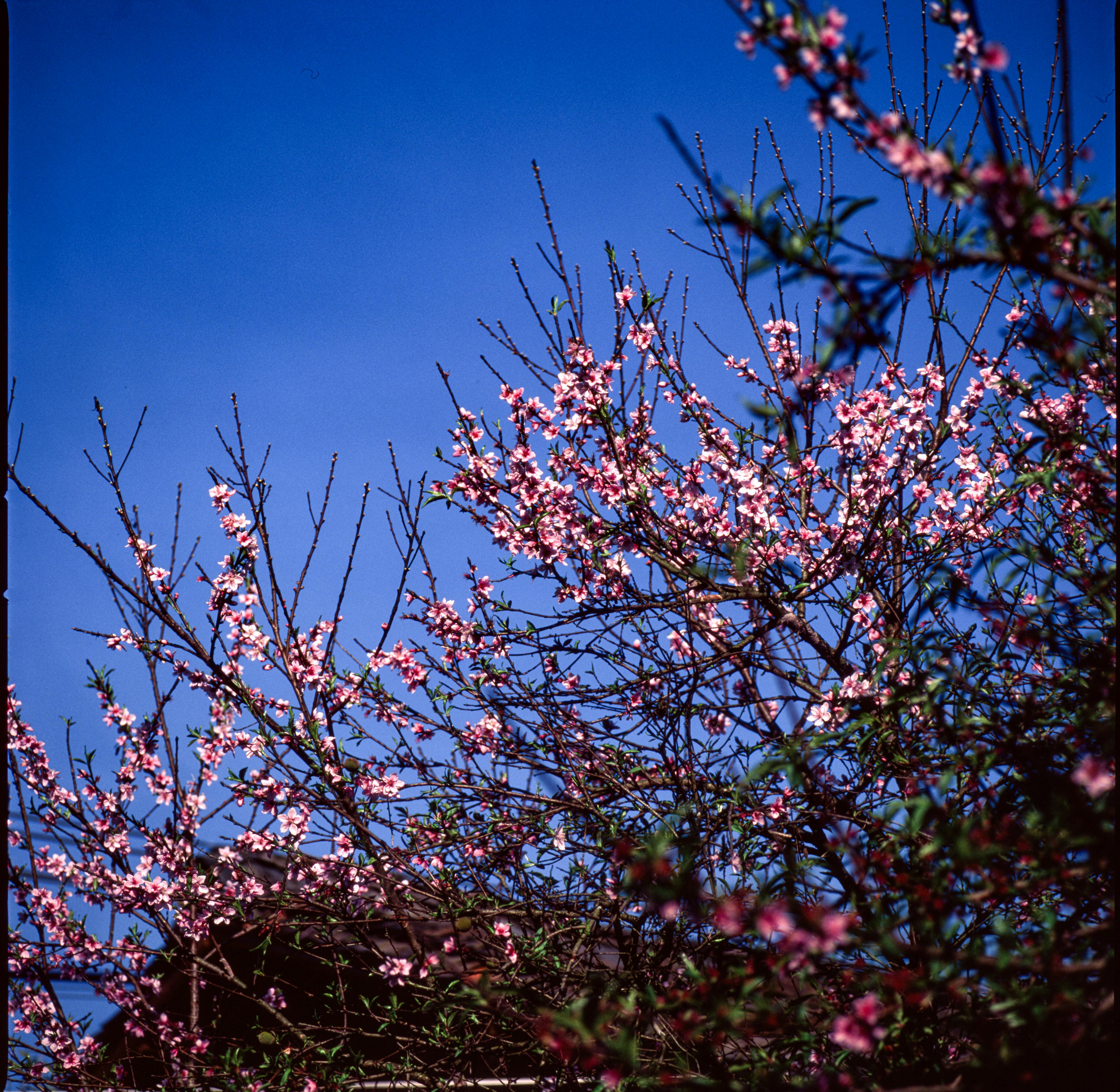 Miễn phí Ảnh lưu trữ miễn phí về bầu trời quang đãng, bình dị, bình yên Ảnh lưu trữ