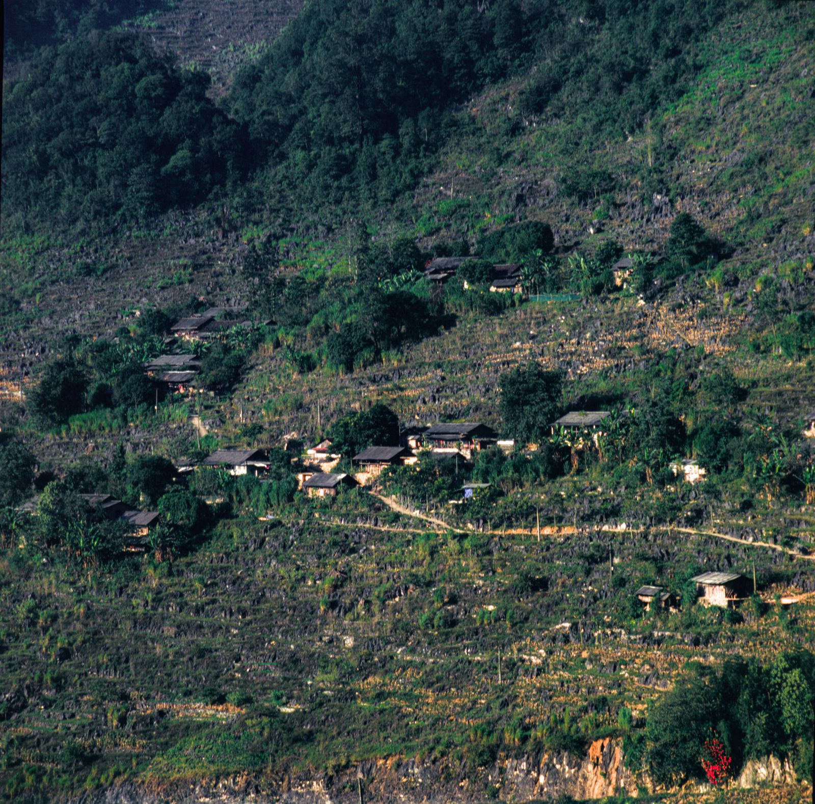 Rural Ha Giang village on a hillside showing local life and friendship during the loop