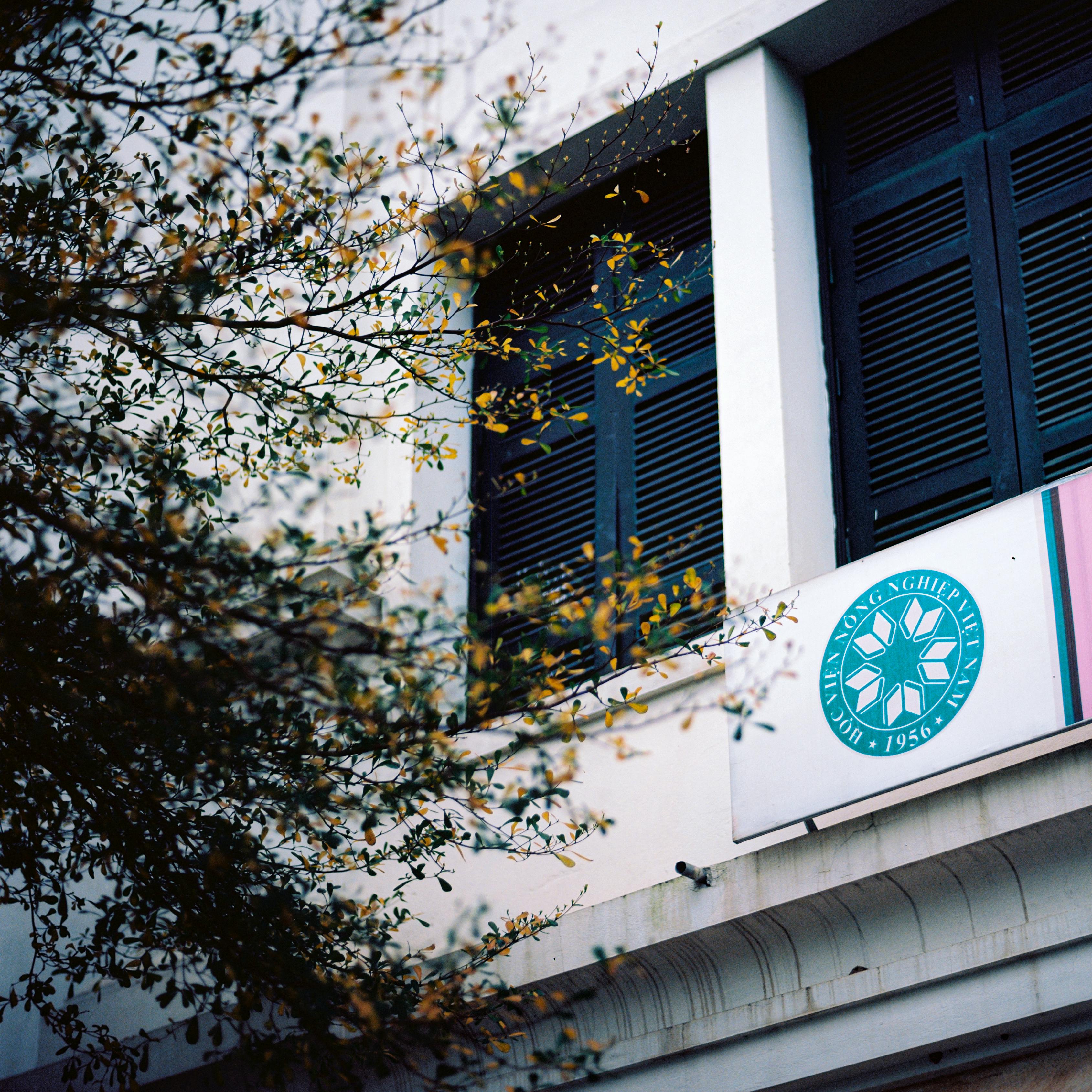 Gratuit Imagine de stoc gratuită din @în aer liber, afaceri, arbore Fotografie de stoc