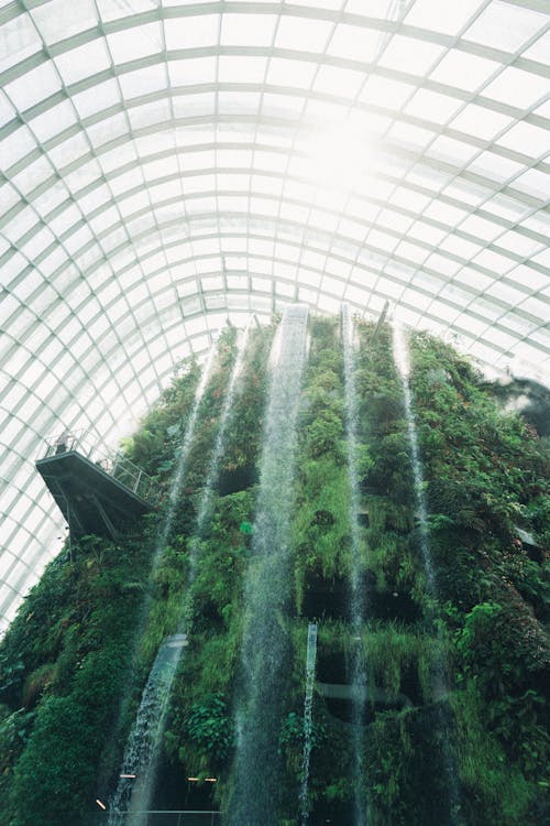 Безкоштовне стокове фото на тему «архітектура, ботанічний сад, водоспади»