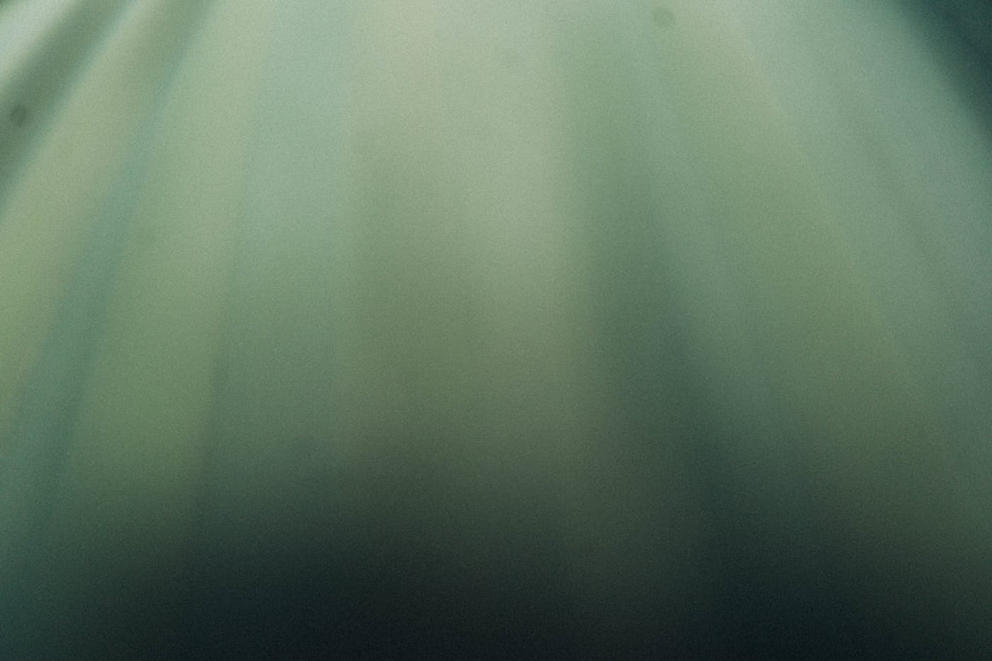 A cinematic forest landscape with sunlight streaming through trees, echoing Pixar visual style