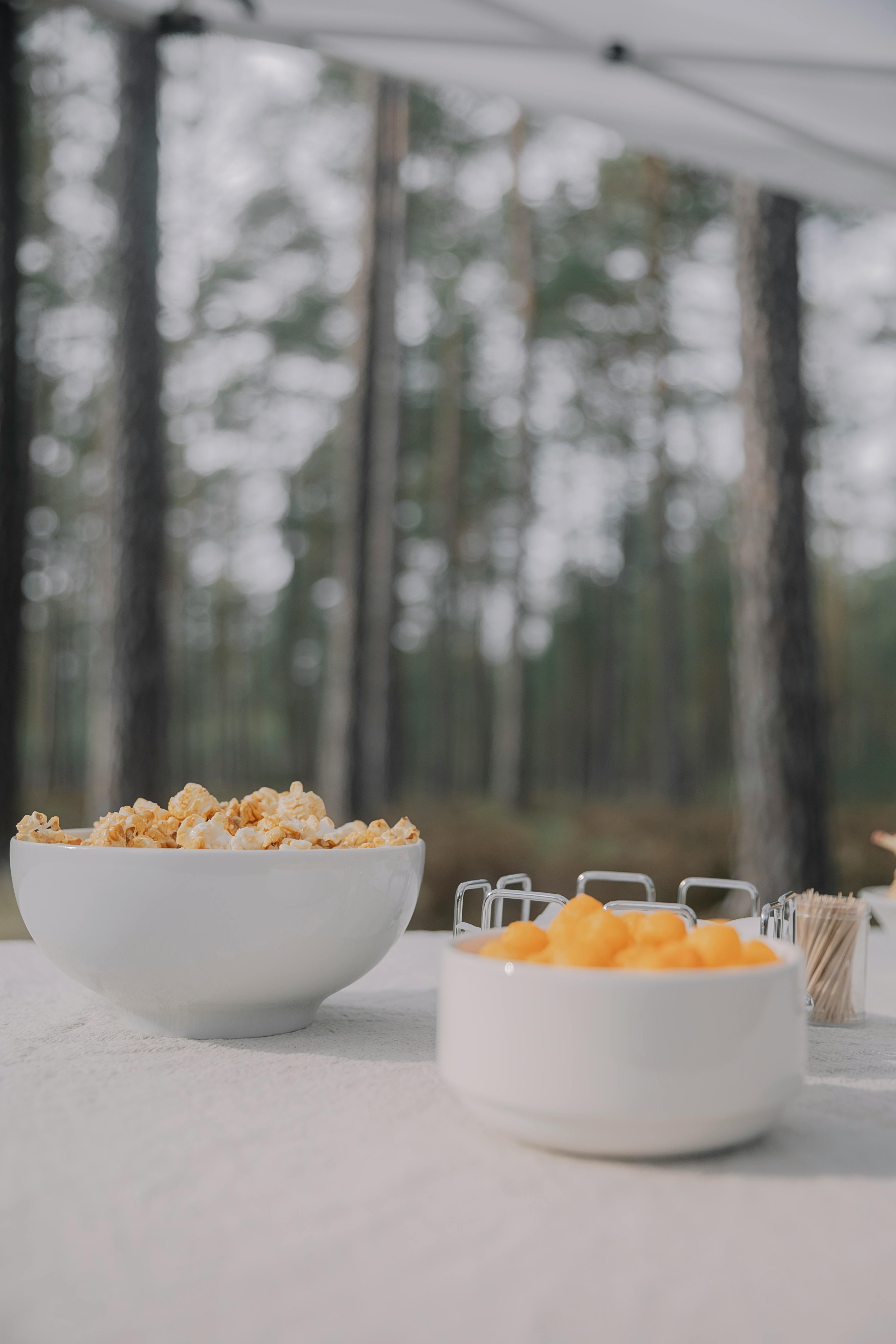 Gratuit Photos gratuites de @extérieur, arbres, automne Photos