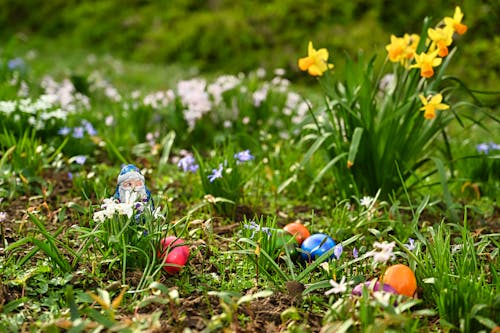 Gratis lagerfoto af blomster, blomsterflora, blomsterplante