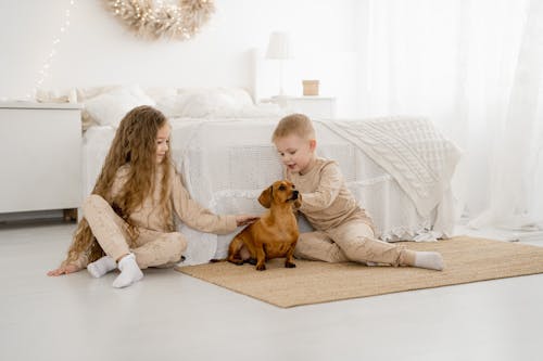 Two children playing with a dog on a white rug