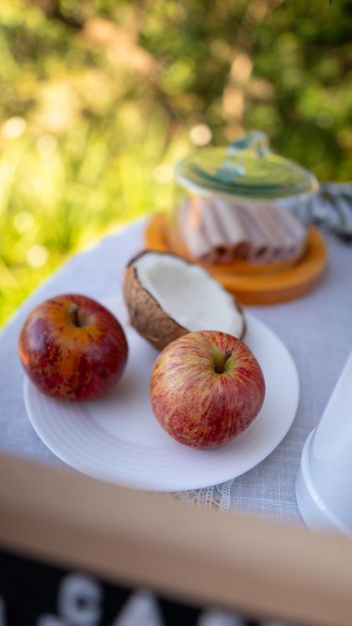 Free Close-up of apples and coconut on a table outdoors, highlighting fresh and nutritious produce. Stock Photo