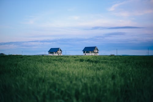 Two houses sit in a field under a blue sky