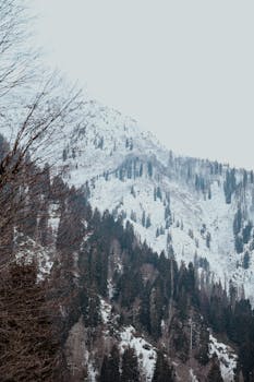 A serene snow-covered mountain landscape with pine trees in winter.
