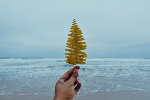 A peaceful tropical beach view with a hand holding a yellow leaf against the ocean backdrop.