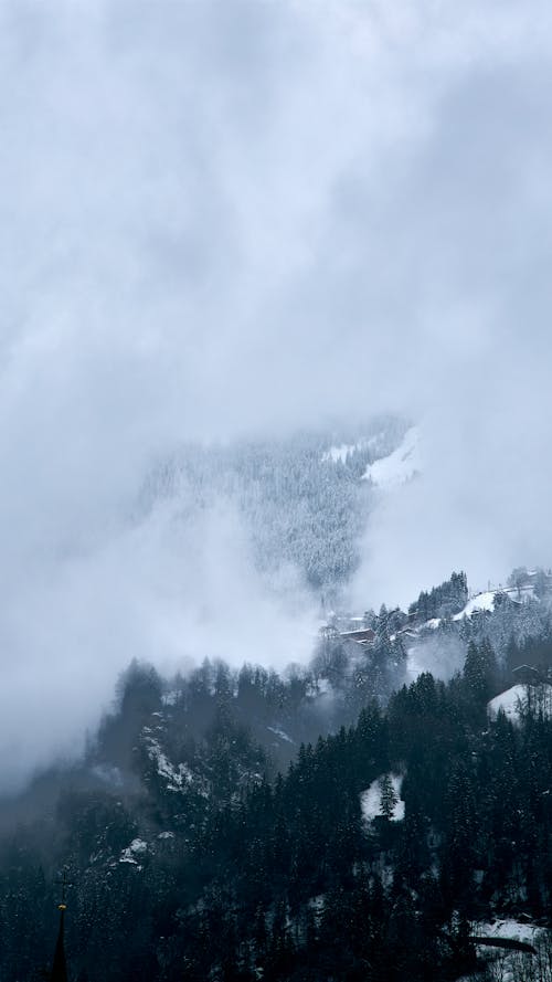 Základová fotografie zdarma na téma les, sněhová hora, švýcarsko