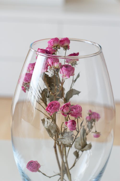 Fotobanka s bezplatnými fotkami na tému dekorácia, glassflower, kvetinový aranžmán