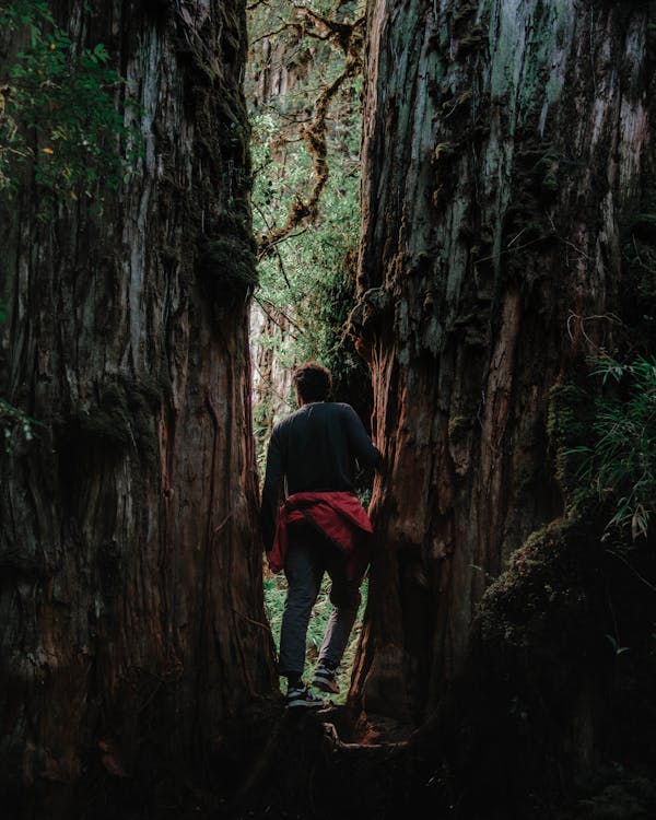 Foto stok gratis batu, berjalan, hiking