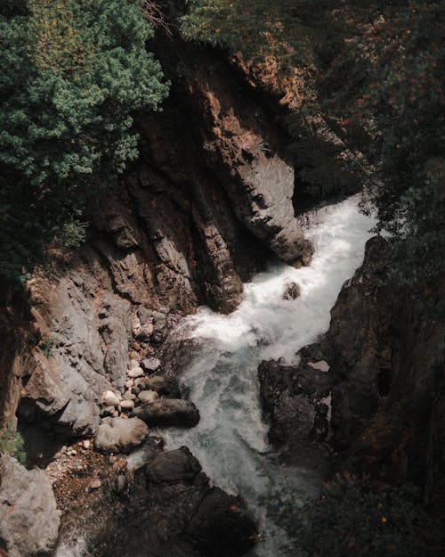 Immagine gratuita di acqua, arbusti, cascata