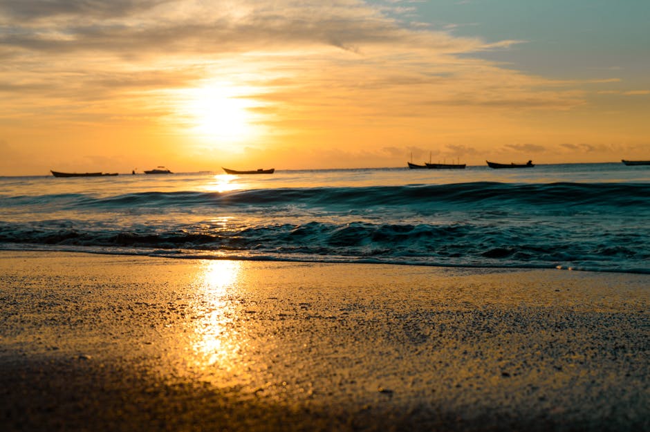Imagem de Bahia - Natisoriel Santos no Pexels Paisagem de Bahia - Natisoriel Santos