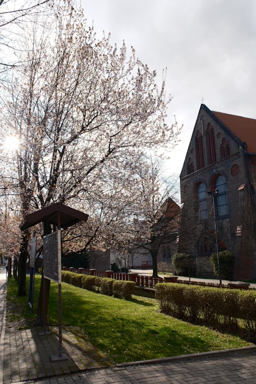 Kostnadsfri bild av arkitektur, basilika, bön