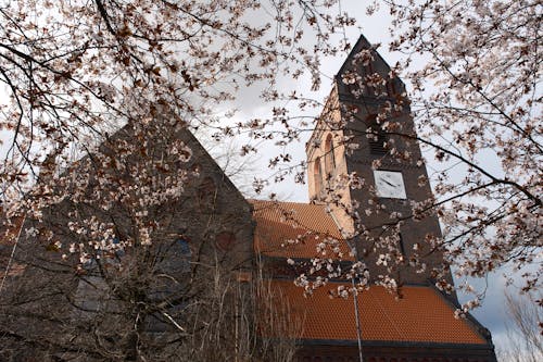 Kostnadsfri bild av arkitektur, basilika, bön