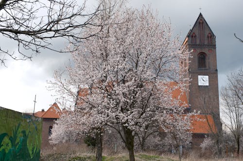 Kostnadsfri bild av arkitektur, basilika, bön