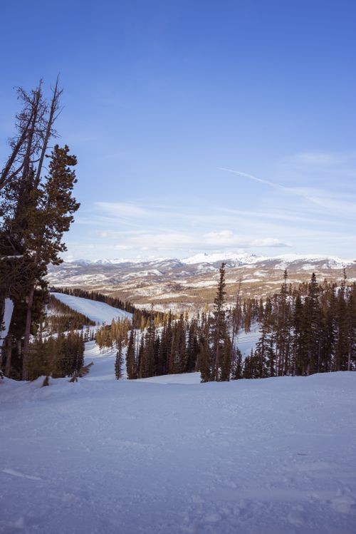 Free Stunning winter landscape with snow-covered hills and coniferous forest under a clear blue sky. Stock Photo