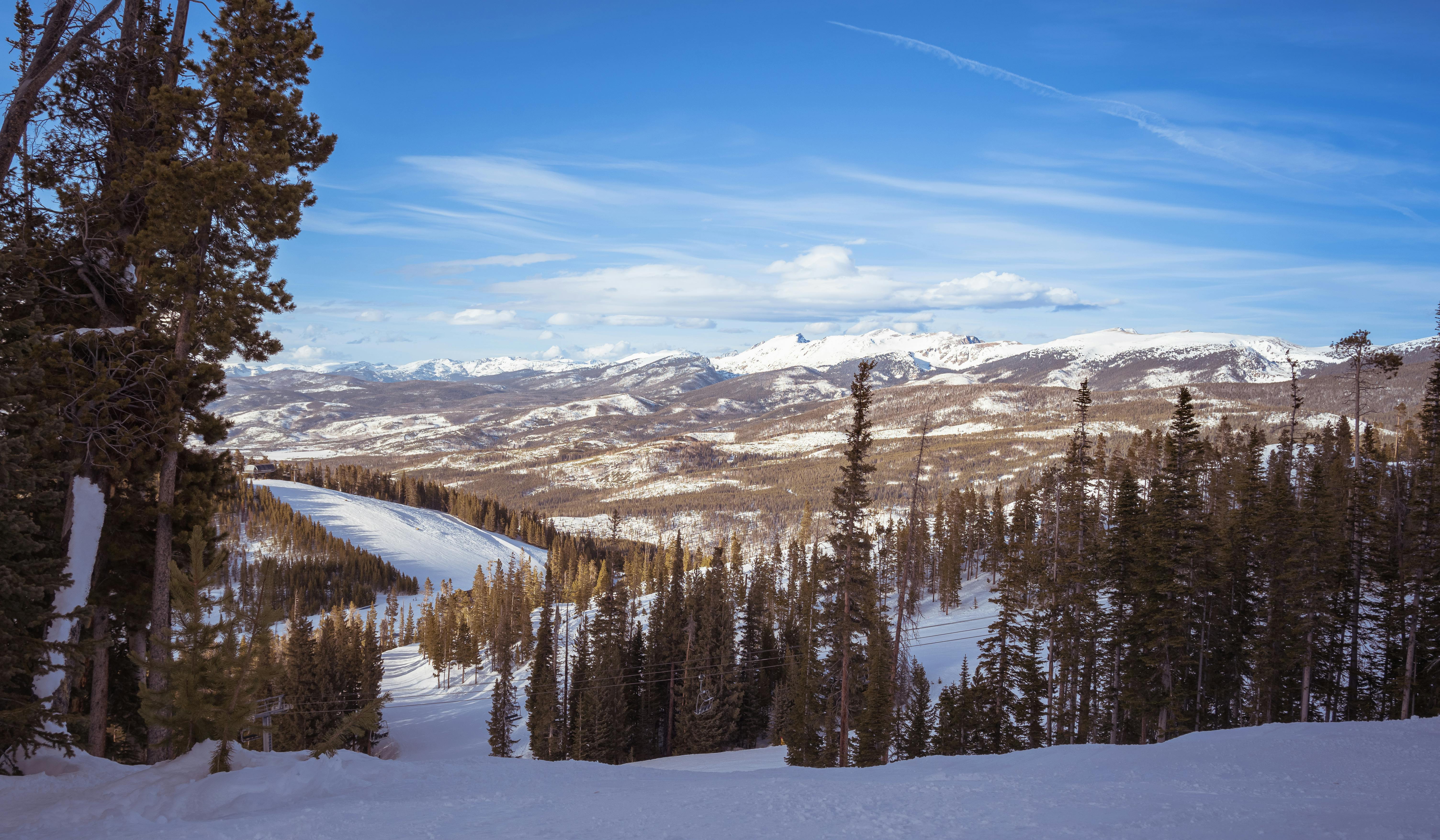 Prescription Goggle Inserts - Scenic view of a snowy mountain range with coniferous trees under a clear blue sky.