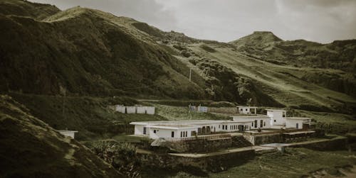 Gratis lagerfoto af bakke, bygninger, grøn