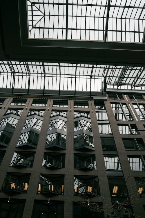 The glass roof of a building with a skylight