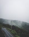 蜿蜒的道路穿过雾气缭绕的伊斯坦布尔山地，展现了大自然的美丽