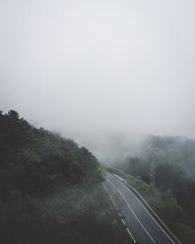 薄雾笼罩着伊斯坦布尔的一条道路，它蜿蜒穿过茂密的森林，营造出神秘的风景