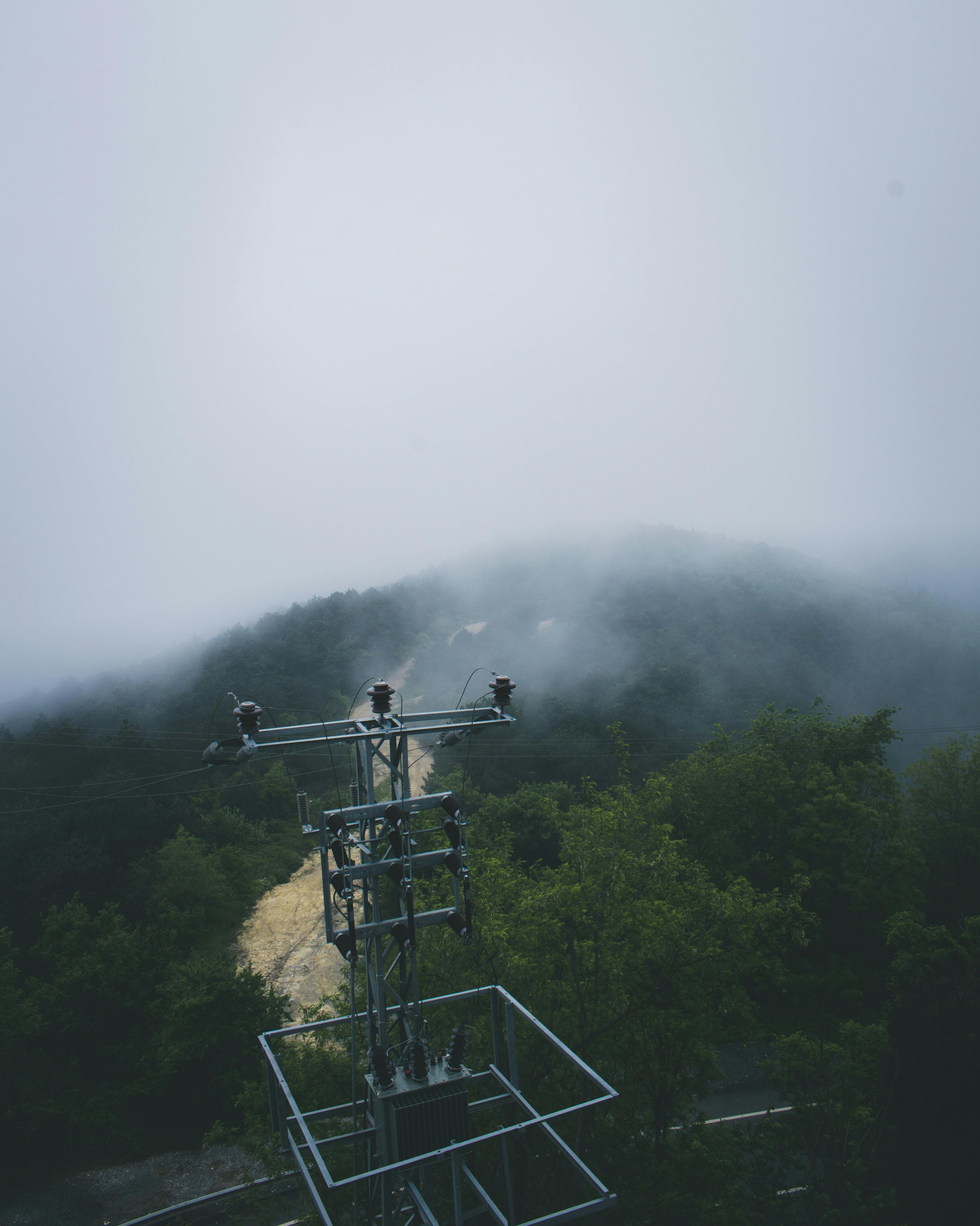 伊斯坦布尔雾气缭绕的森林中，电线隐约可见，营造出一种神秘的氛围