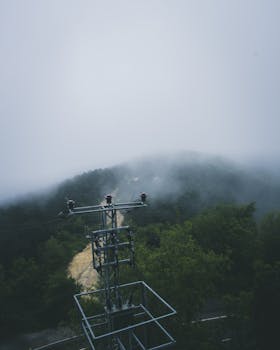 Foggy forest in Istanbul with power lines visible, creating a mystical atmosphere.