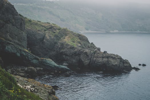 伊斯坦布尔薄雾悬崖的海岸宁静，与平静的大海相接，构成完美的自然度假胜地