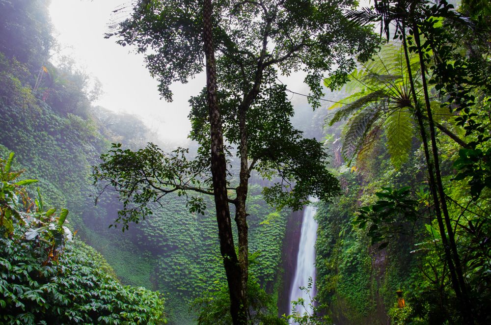 Landscape Photography Of Waterfall Free Stock Photo landscape-photography-of-waterfall-free-stock-photo