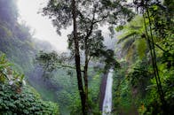 薄雾般的瀑布被郁郁葱葱的绿色植物和茂密的热带丛林包围，尽显大自然的宁静