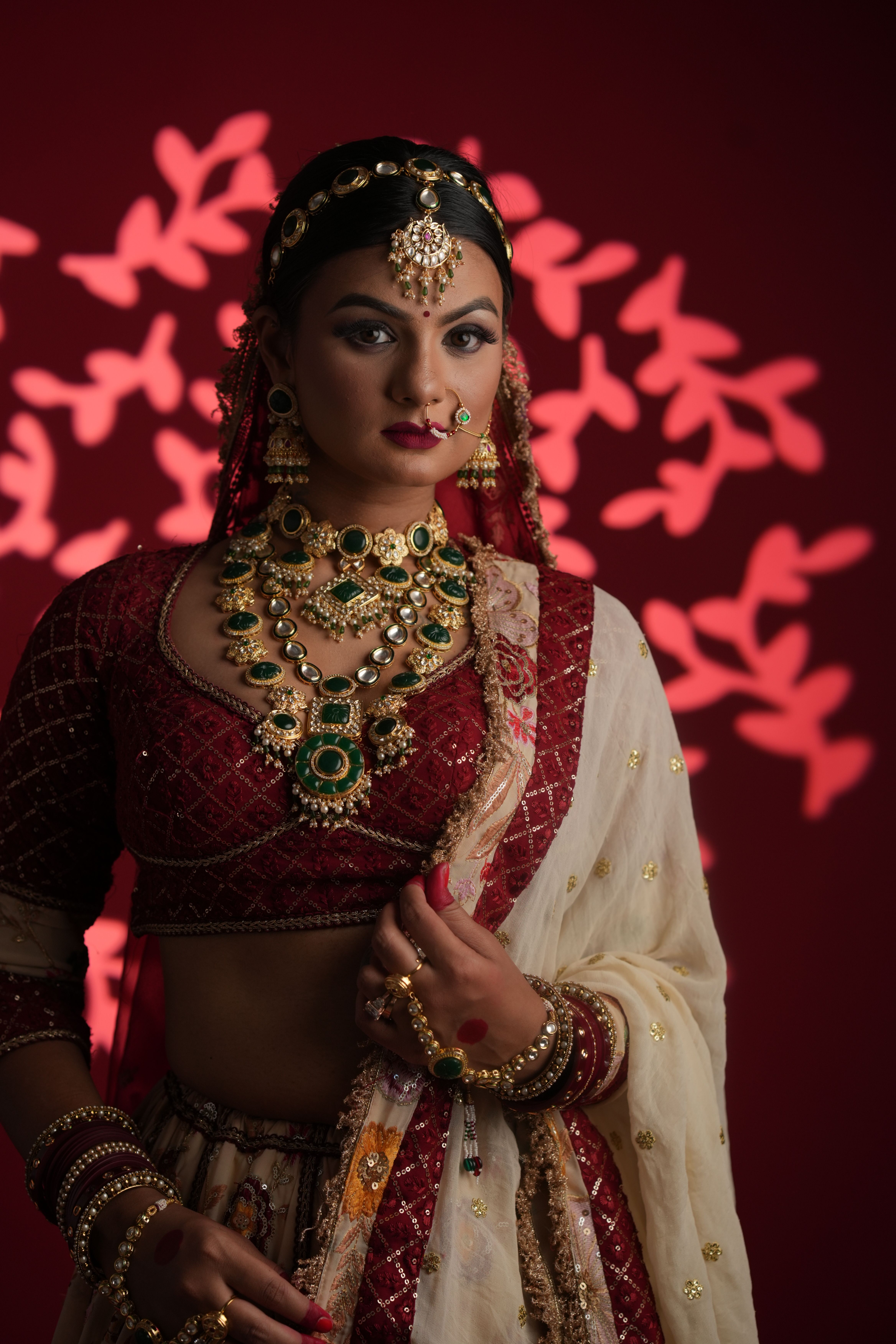 Portrait of Indian Woman in Traditional Clothing and Jewelry · Free ...