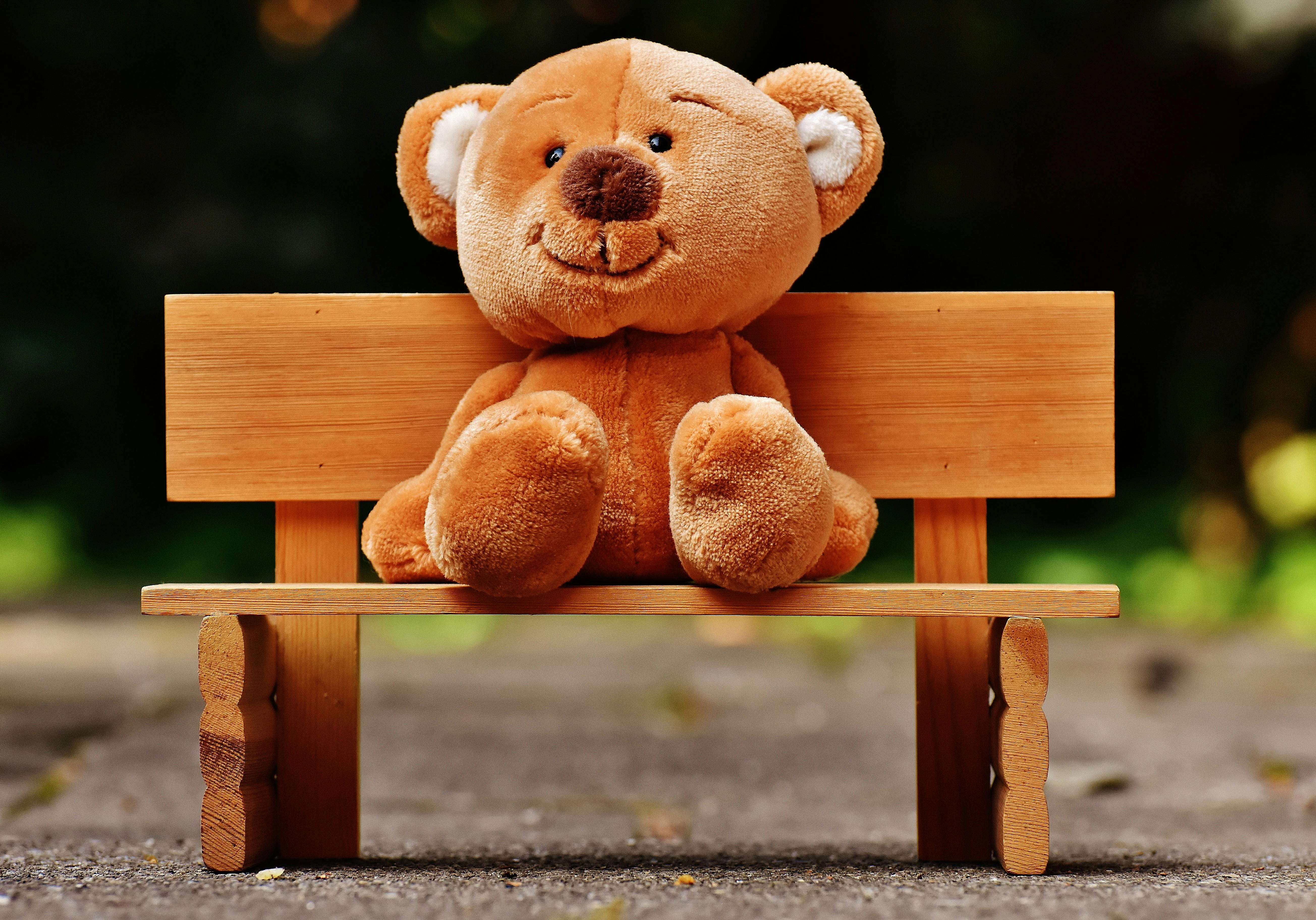 100 interesting teddy bear