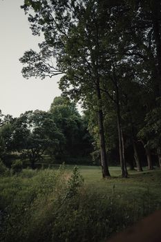 Image by Tolga Ahmetler