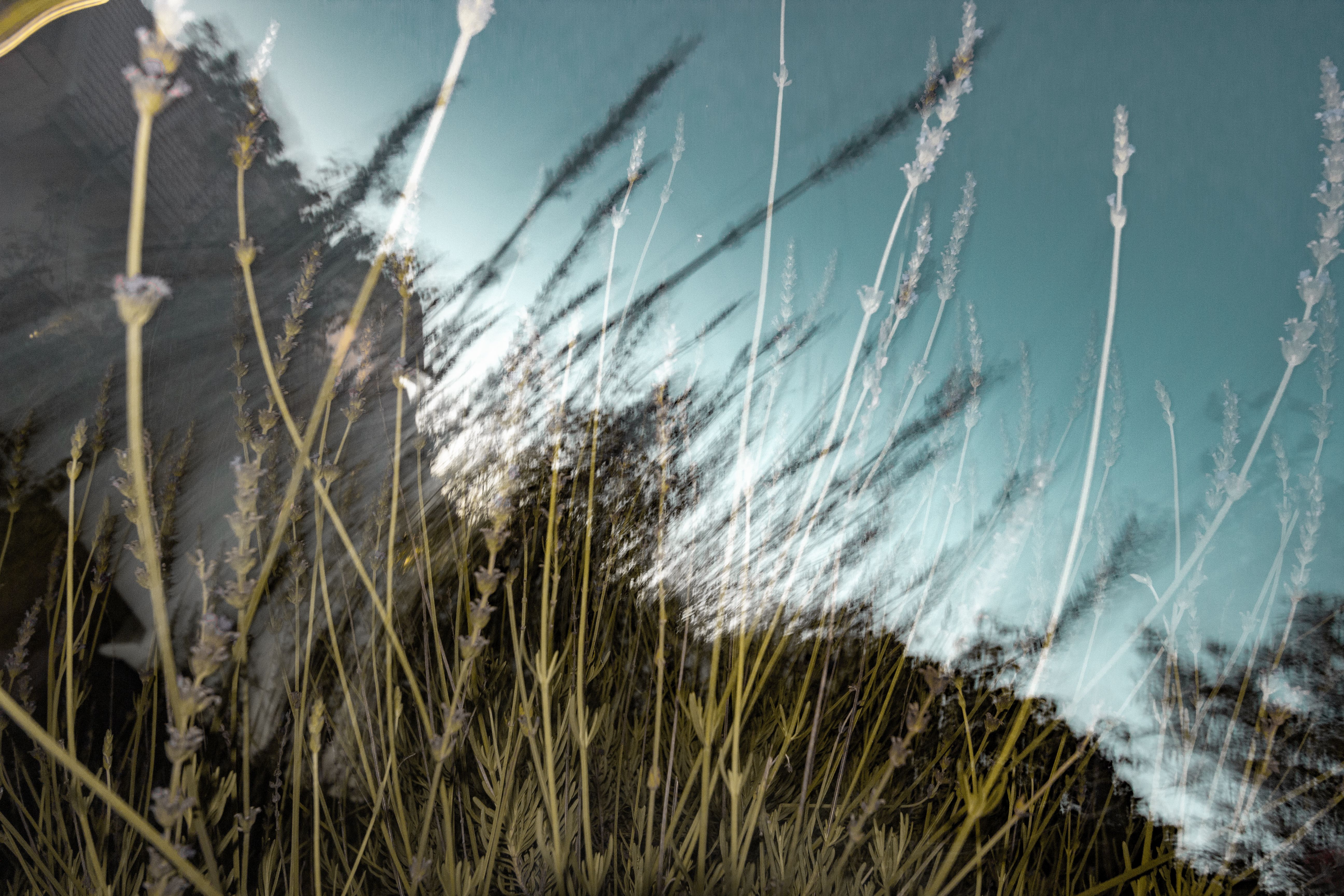 Abstract Shot of a Field · Free Stock Photo