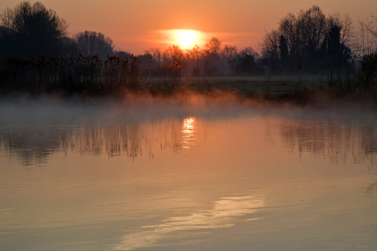 孟德爾豌豆實驗如何奠定遺傳學基礎:從19世紀被忽略到2026年基因編輯市場萬億美元爆發的啟示 孟德爾豌豆實驗如何奠定遺傳學基礎:從19世紀被忽略到2026年基因編輯市場萬億美元爆發的啟示