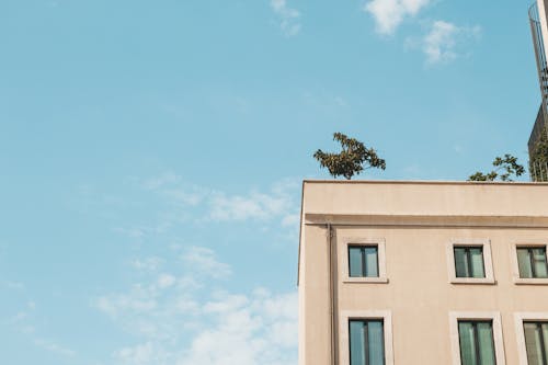 曇り空の下の茶色のコンクリートの建物